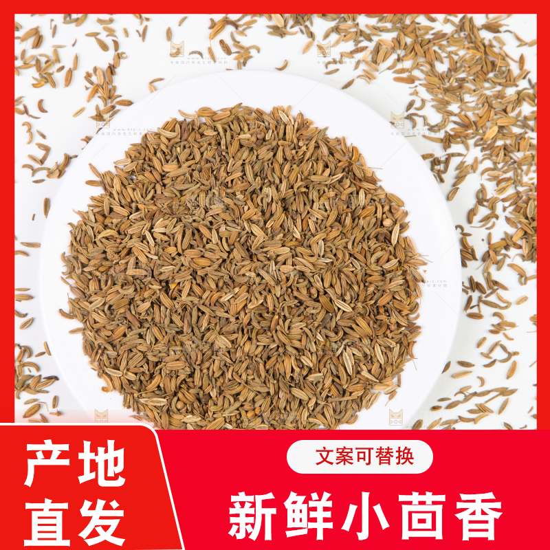 白底上一堆小茴香