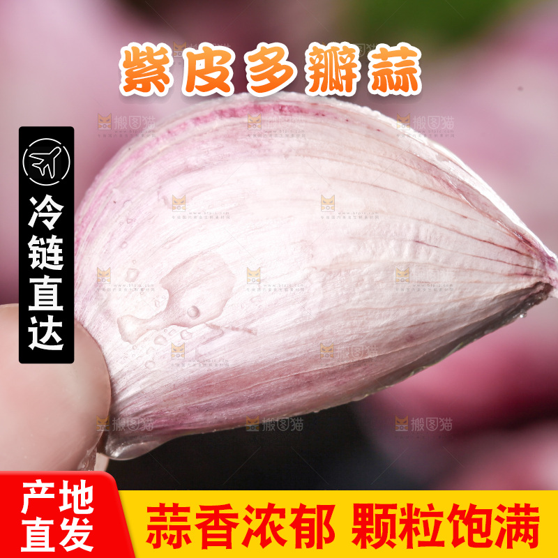 手里拿着紫皮蒜