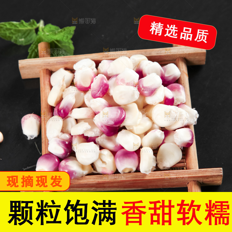 竹垫上的玉米粒