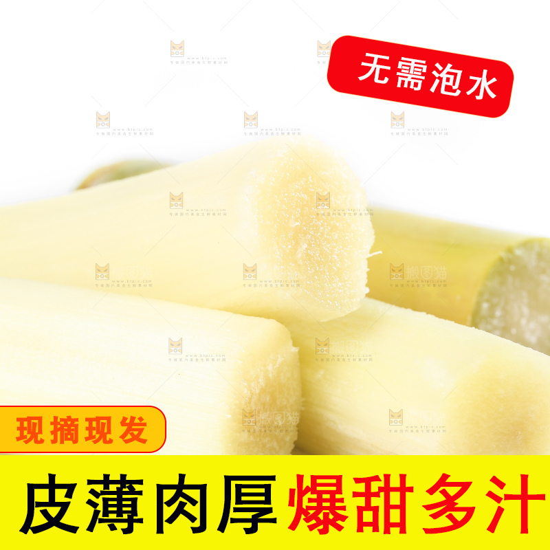 白底上摆放着木格白玉甘蔗