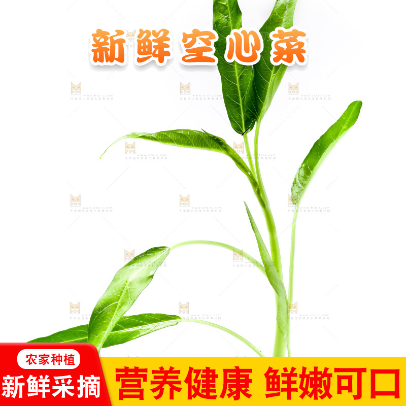 白底上放着新鲜空心菜