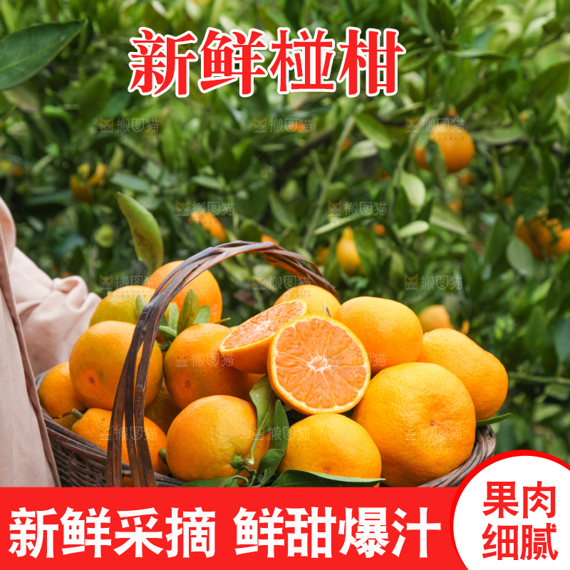 手里拿着一篮子椪柑