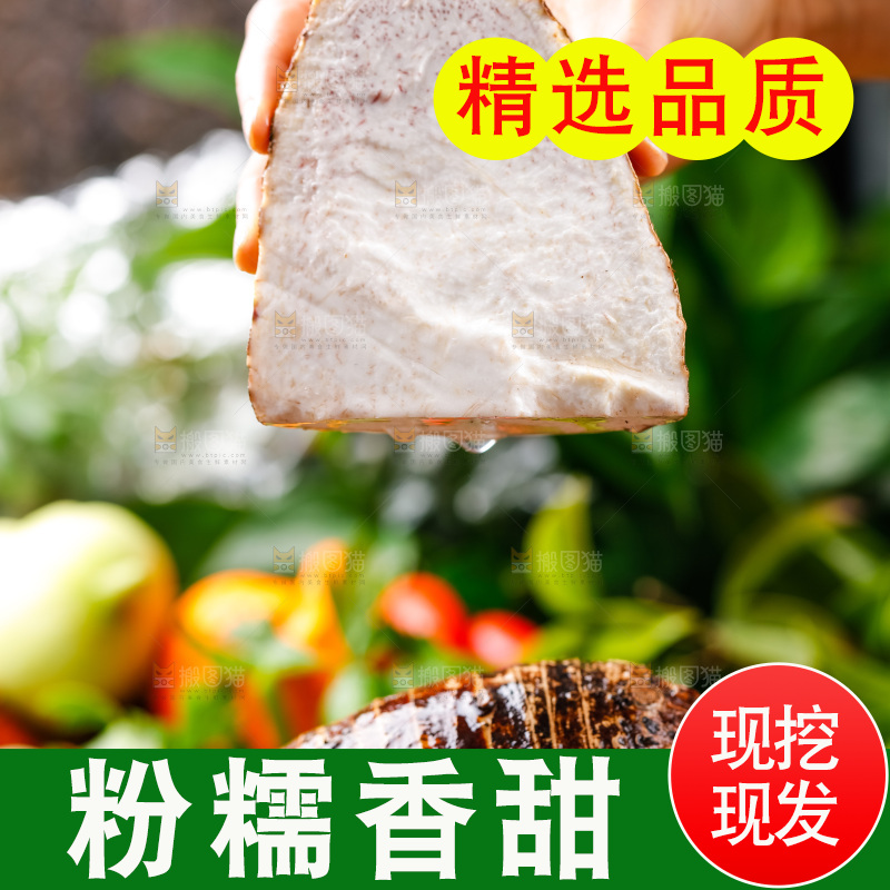 手上拿着槟榔芋切块