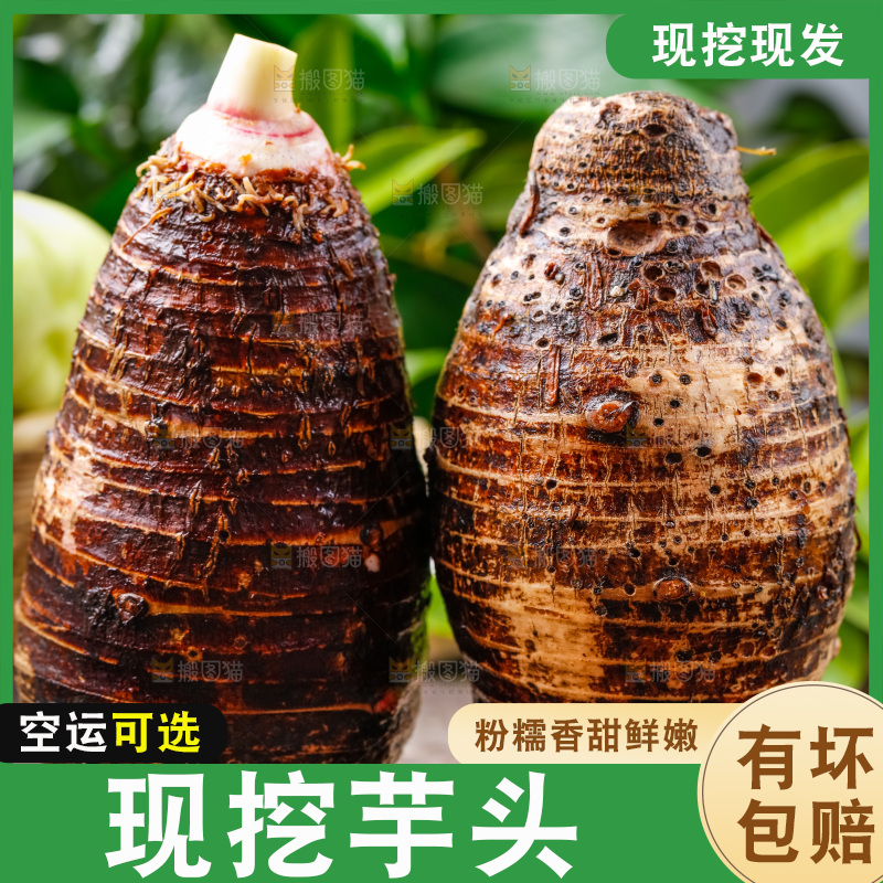 木底上放着广西荔浦芋头