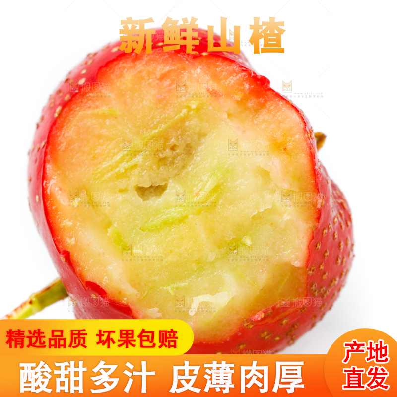 白底上的山楂果