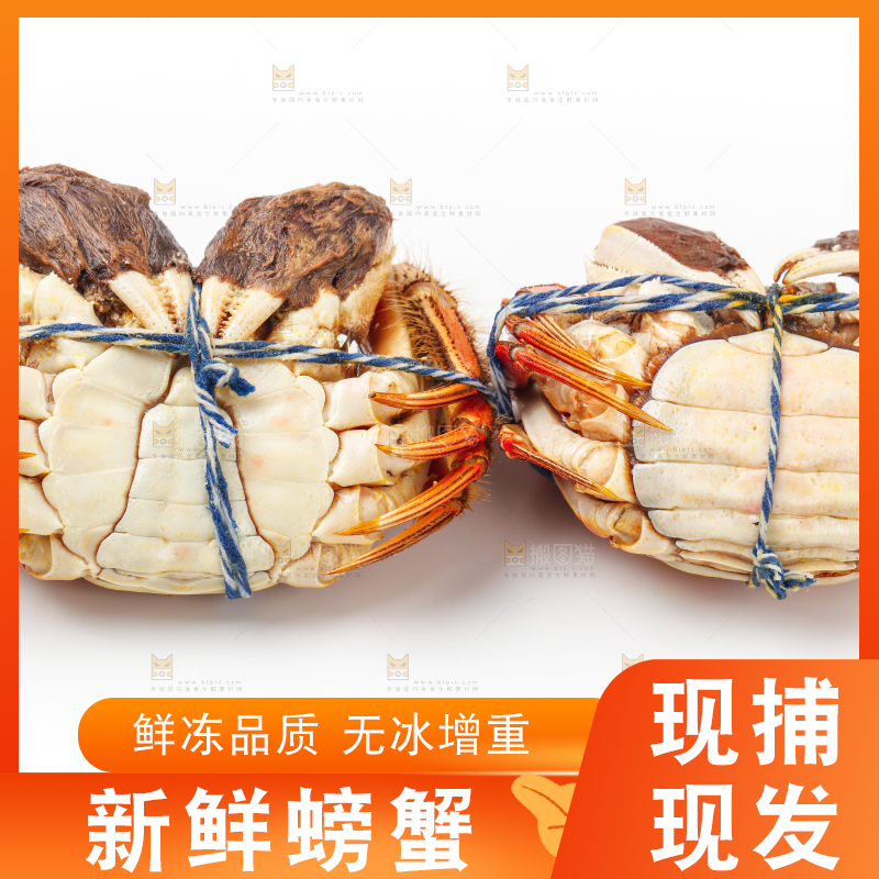 白底上放着螃蟹