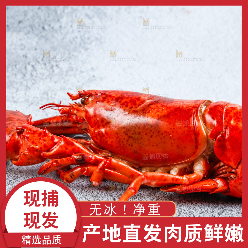 石板上的波士顿大龙虾