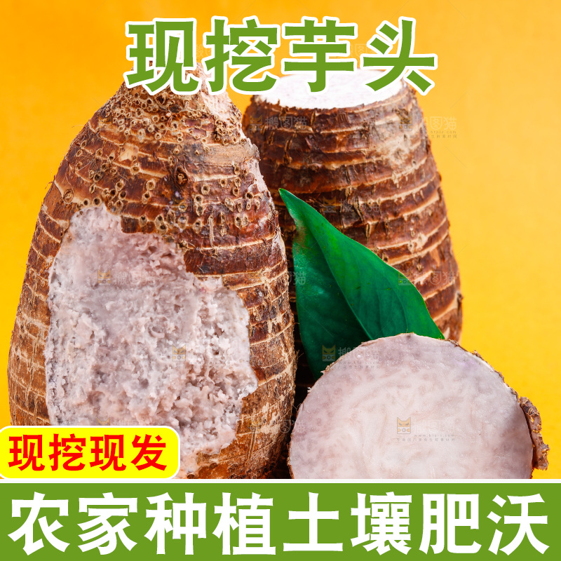 黄底上放着荔浦芋头