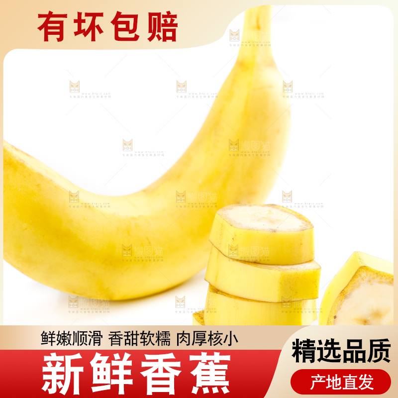 白底上摆放着高山甜香蕉