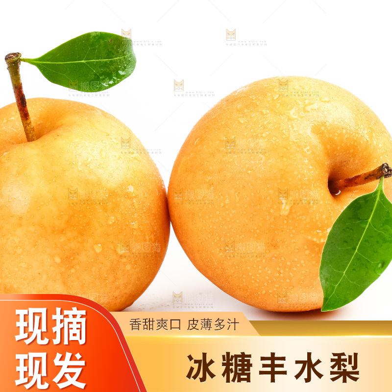 白底上摆放着新鲜丰水梨