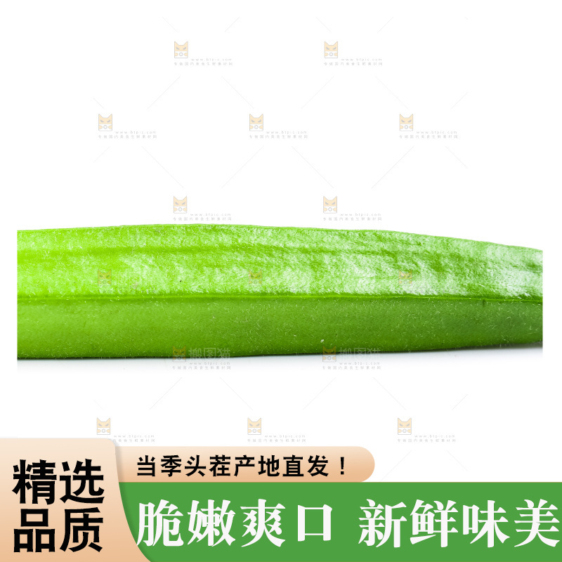 白底上的新鲜秋葵