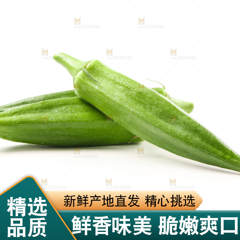 白底上的新鲜秋葵