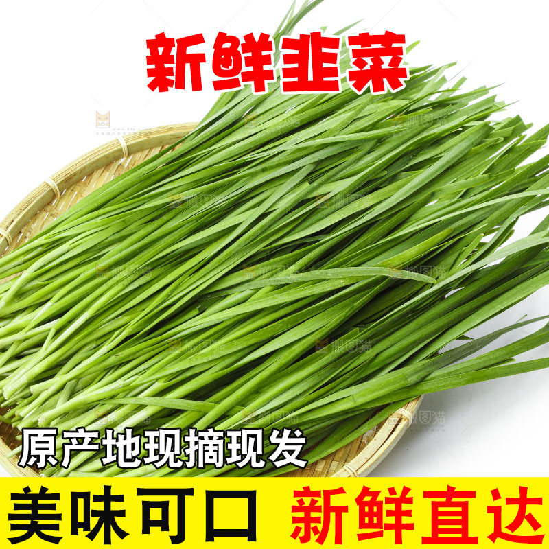 篮子里装着嫩韭菜