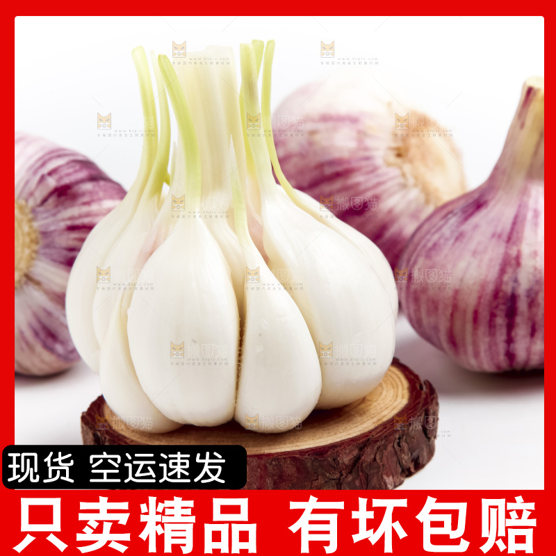 白底上放着多瓣蒜