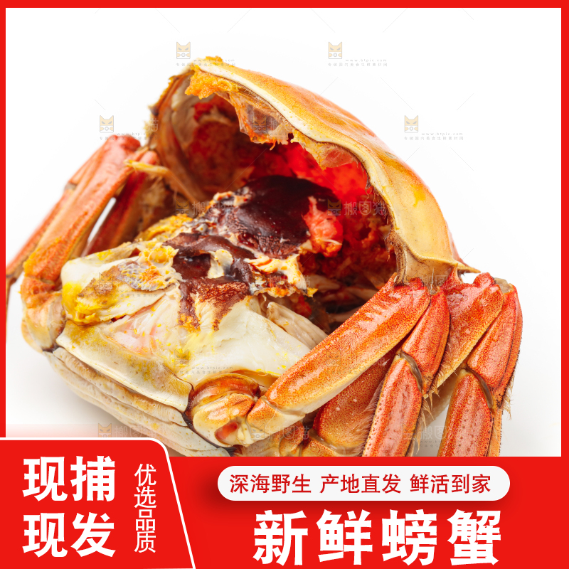 浅底上摆放着熟螃蟹
