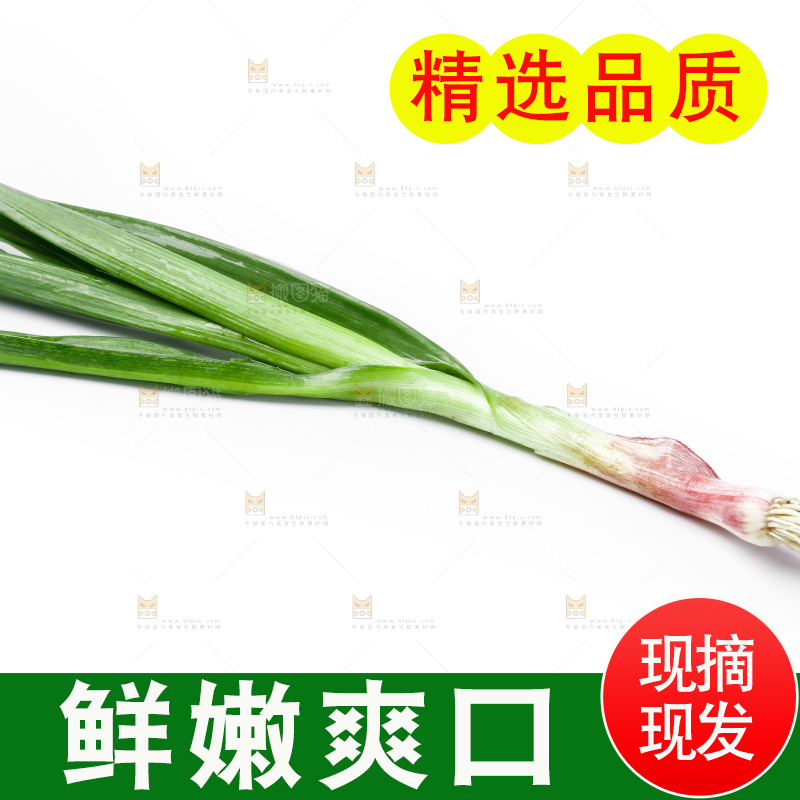白底上的新鲜蒜苗