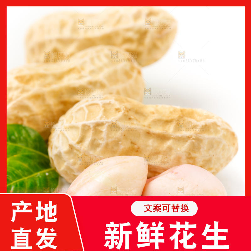 白底上的湿花生和花生米