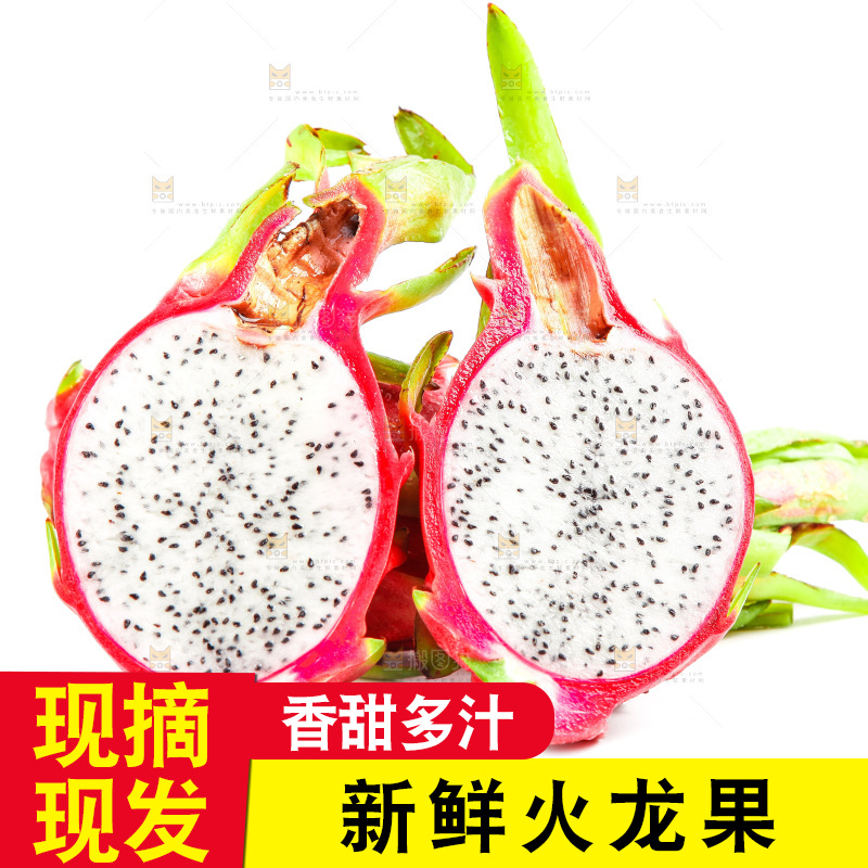 白心火龙果放在白底上