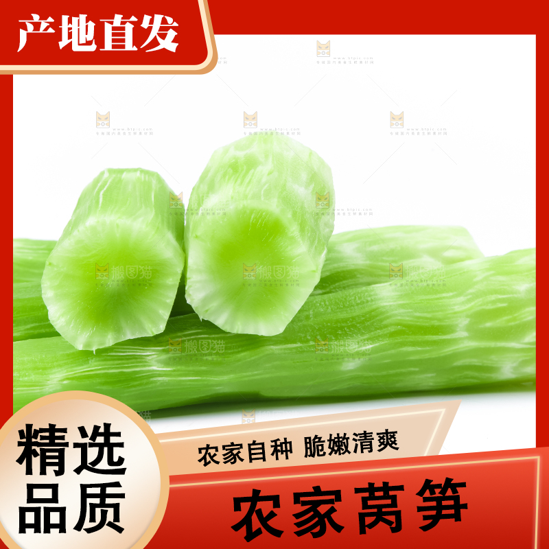 白底上的莴笋