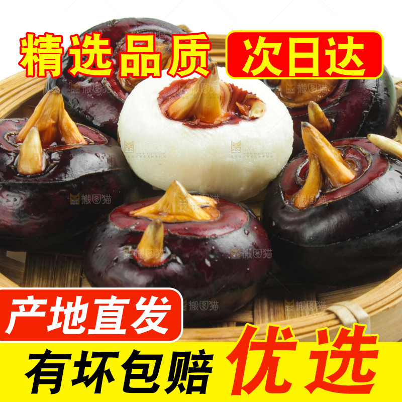 篮子里装着湖北新鲜马蹄