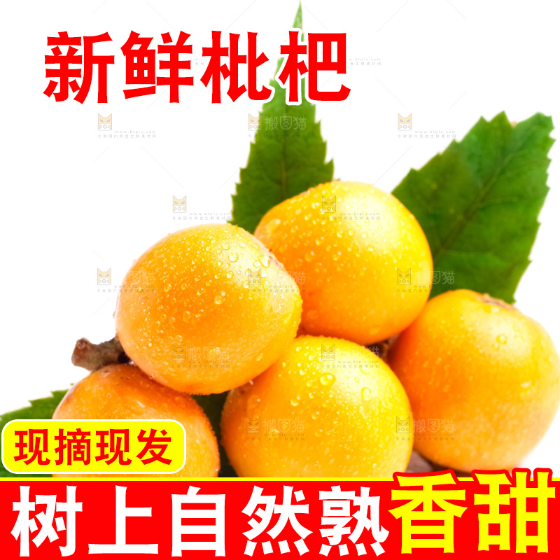 白底上放着新鲜枇杷