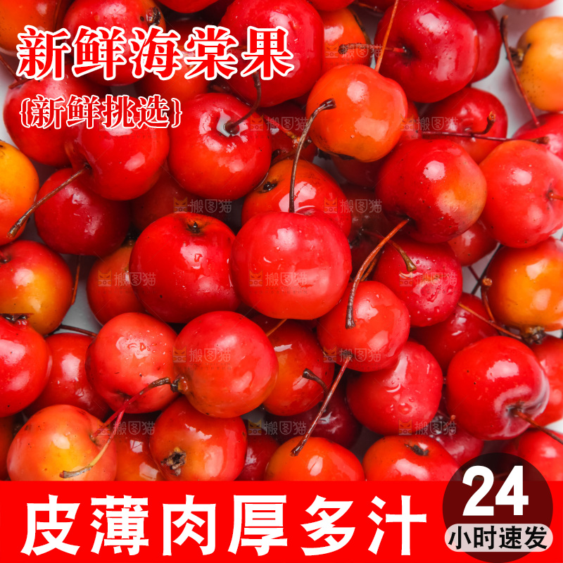 白底上的东北海棠果