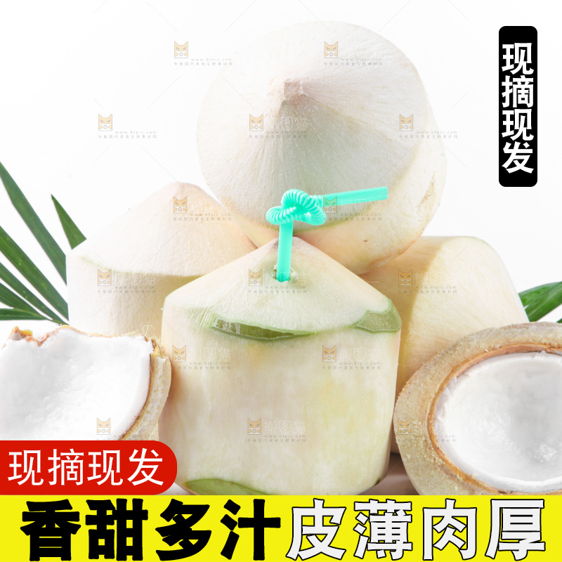 白底上的香水椰青