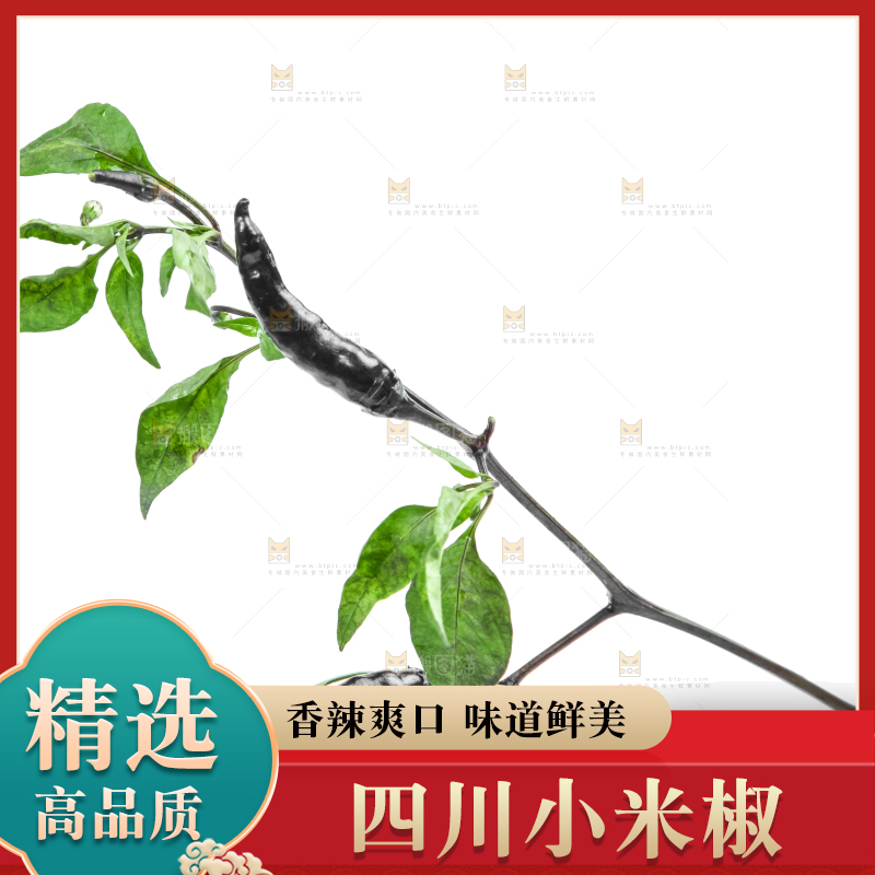 白底上的小米椒