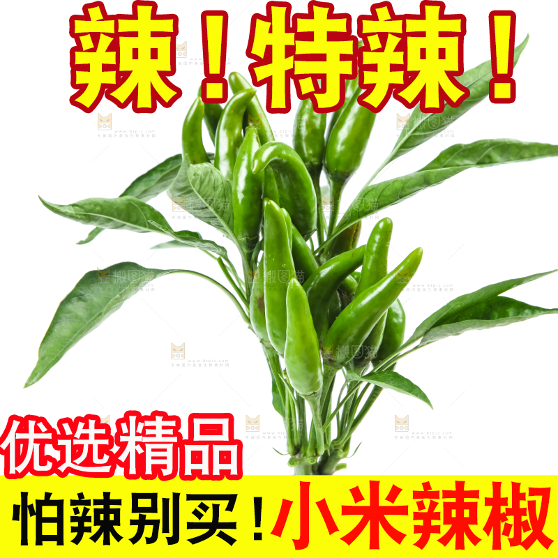 白底上的小米椒