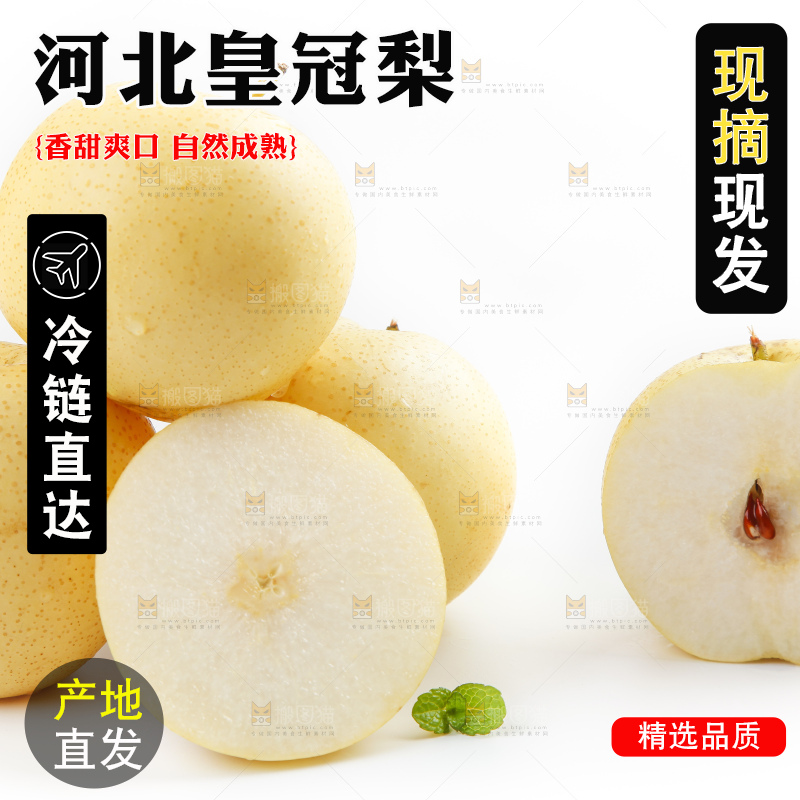 白底上摆放着河北皇冠梨