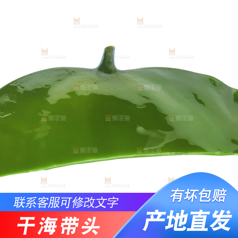 白底上摆放着海带头