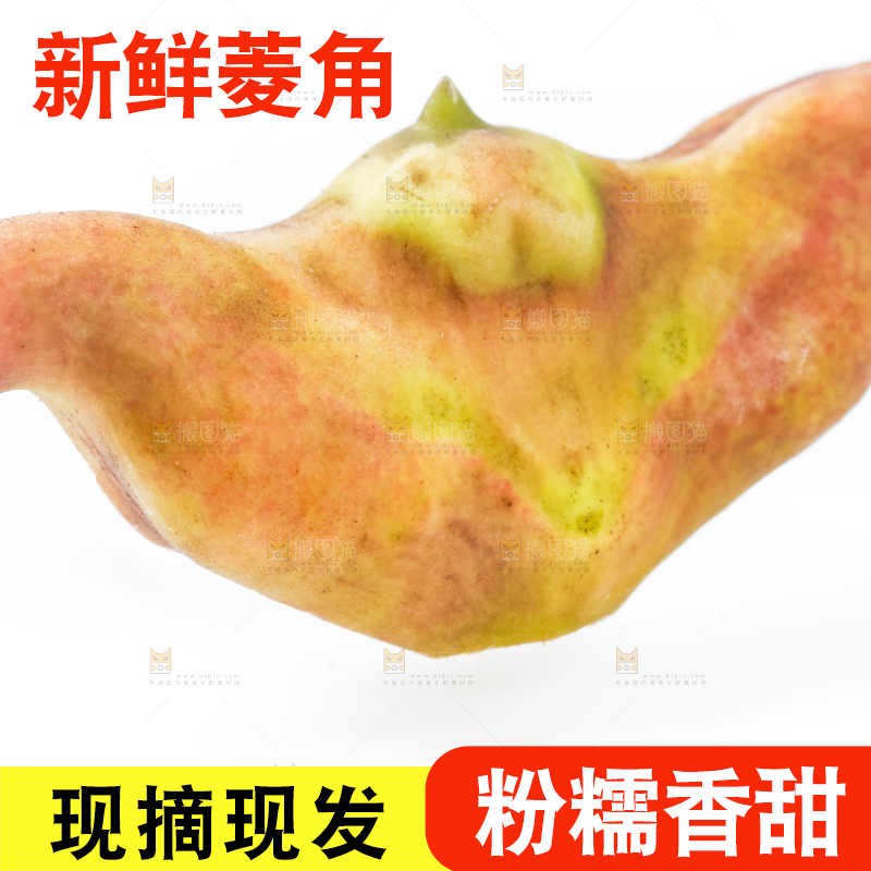 浅底上的新鲜菱角