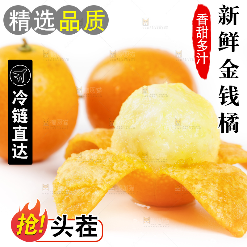 白底上的金桔