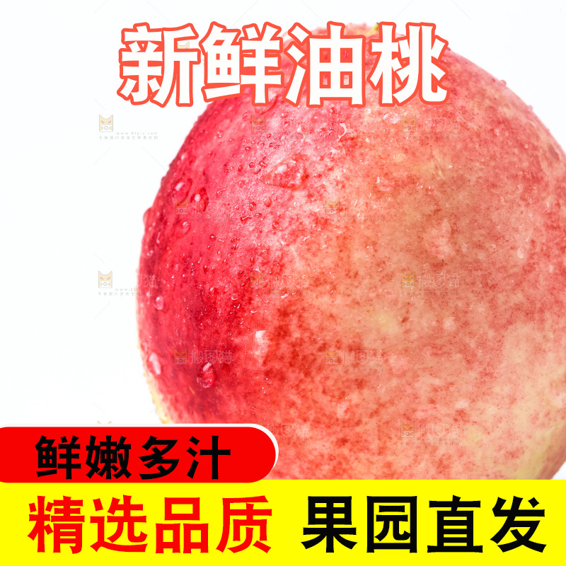白底上摆放着油桃