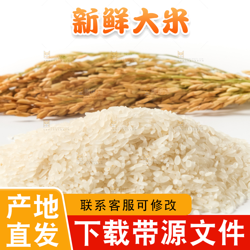 白底上的大米