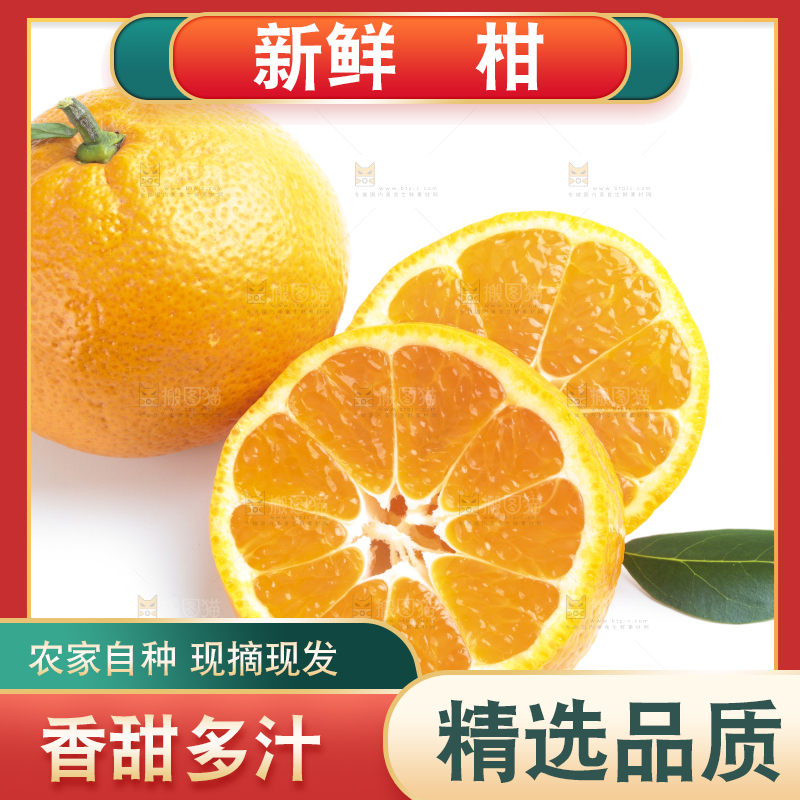 白底上的椪柑