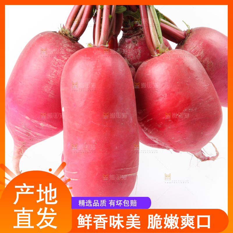 白底上的红萝卜