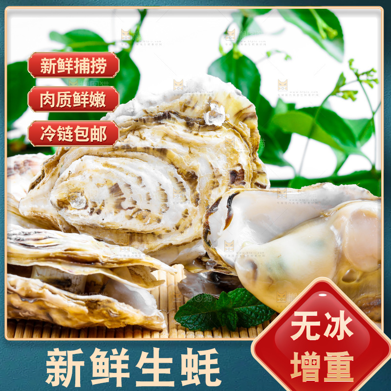 木底上放着海蛎子