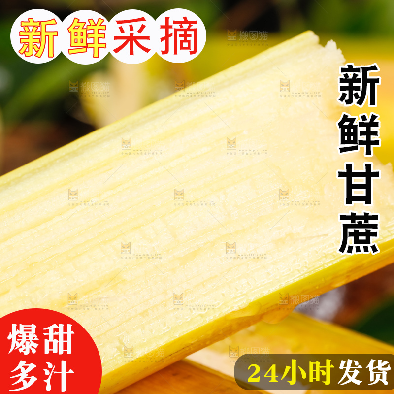 深底上的广西白玉甘蔗