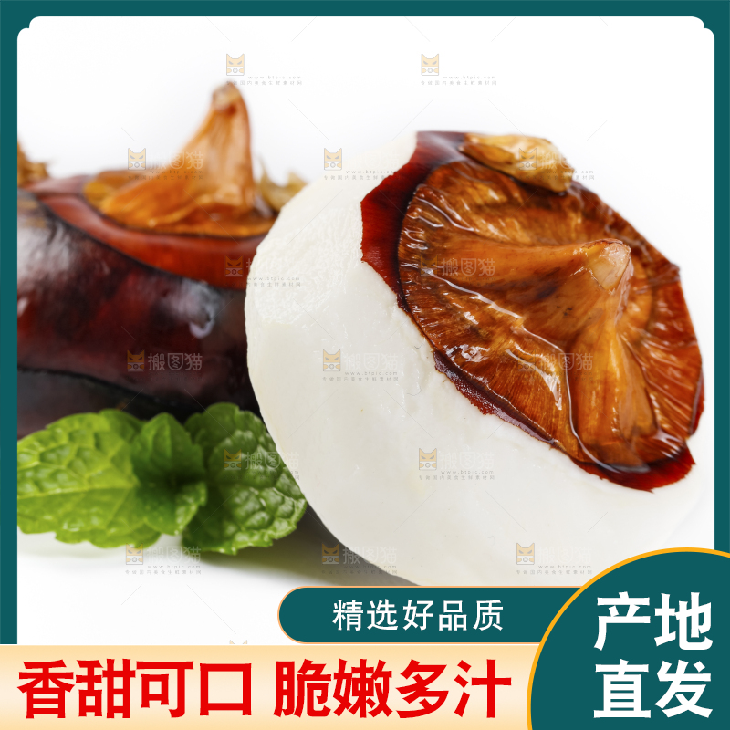 白底上的菩荠