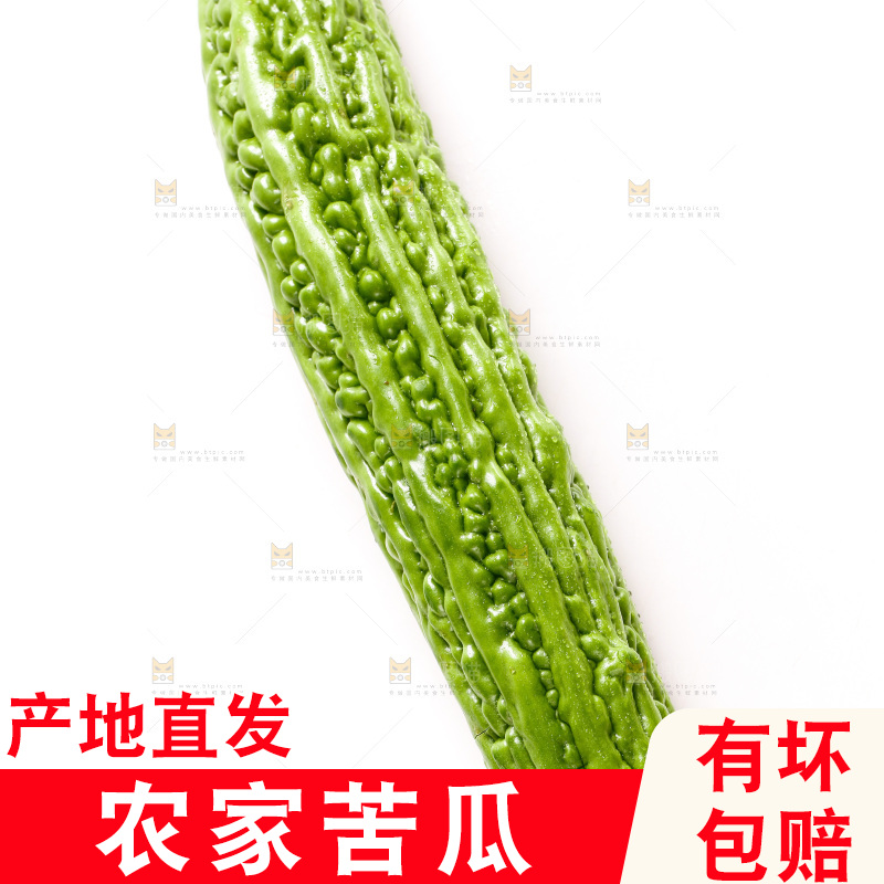 白底上摆放着新鲜苦瓜