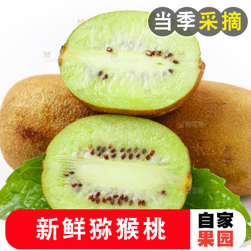 白底上的绿心猕猴桃