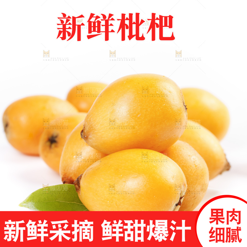 白底上的米易枇杷
