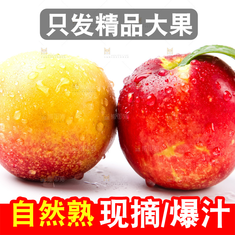 白底上摆放着油桃
