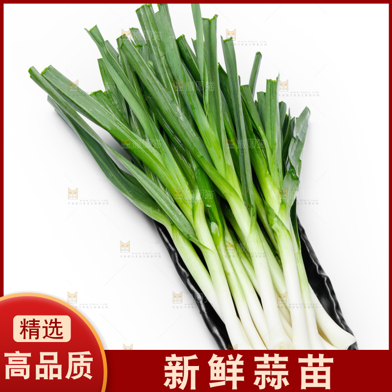 白底上的新鲜蒜苗