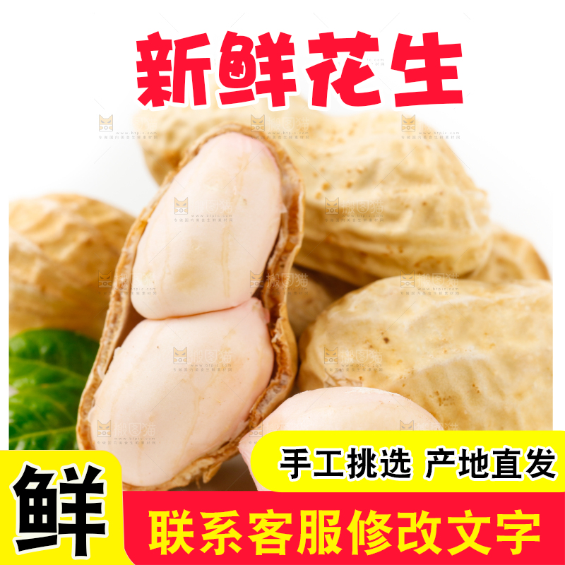 白底上的湿花生和花生米