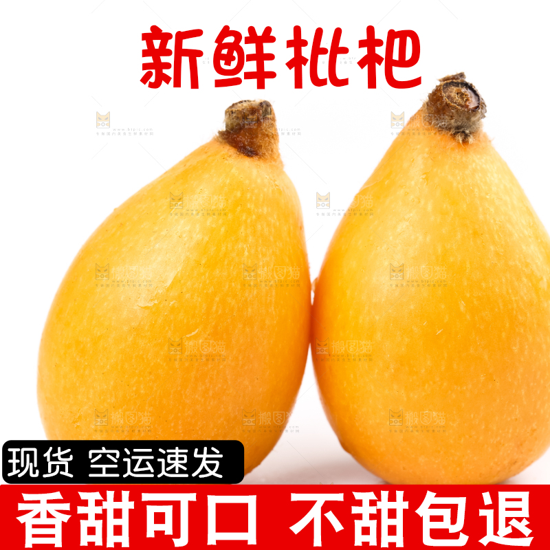 白底上放着攀枝花米易枇杷