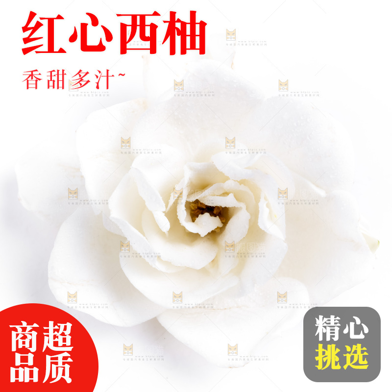 白底上放着一朵栀子花
