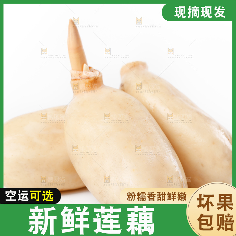 白底上的新鲜莲藕