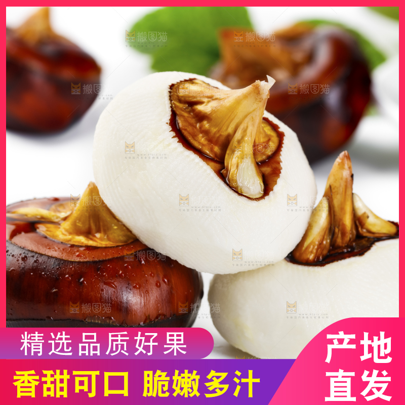 白底上放着广西马蹄